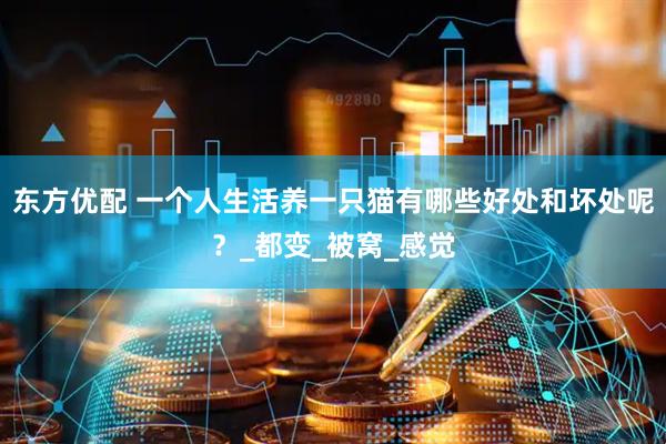 东方优配 一个人生活养一只猫有哪些好处和坏处呢？_都变_被窝_感觉