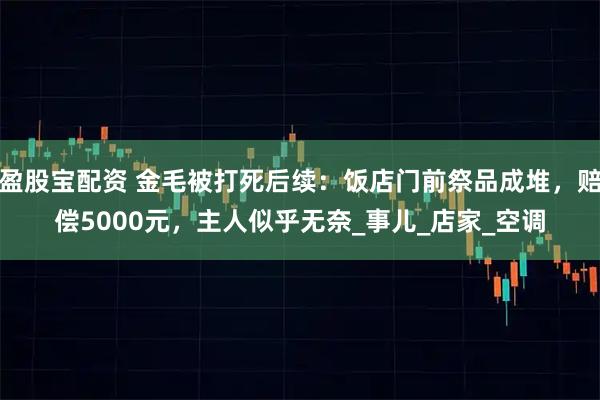 盈股宝配资 金毛被打死后续：饭店门前祭品成堆，赔偿5000元，主人似乎无奈_事儿_店家_空调